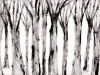 arthurine vincent – la forêt des morts